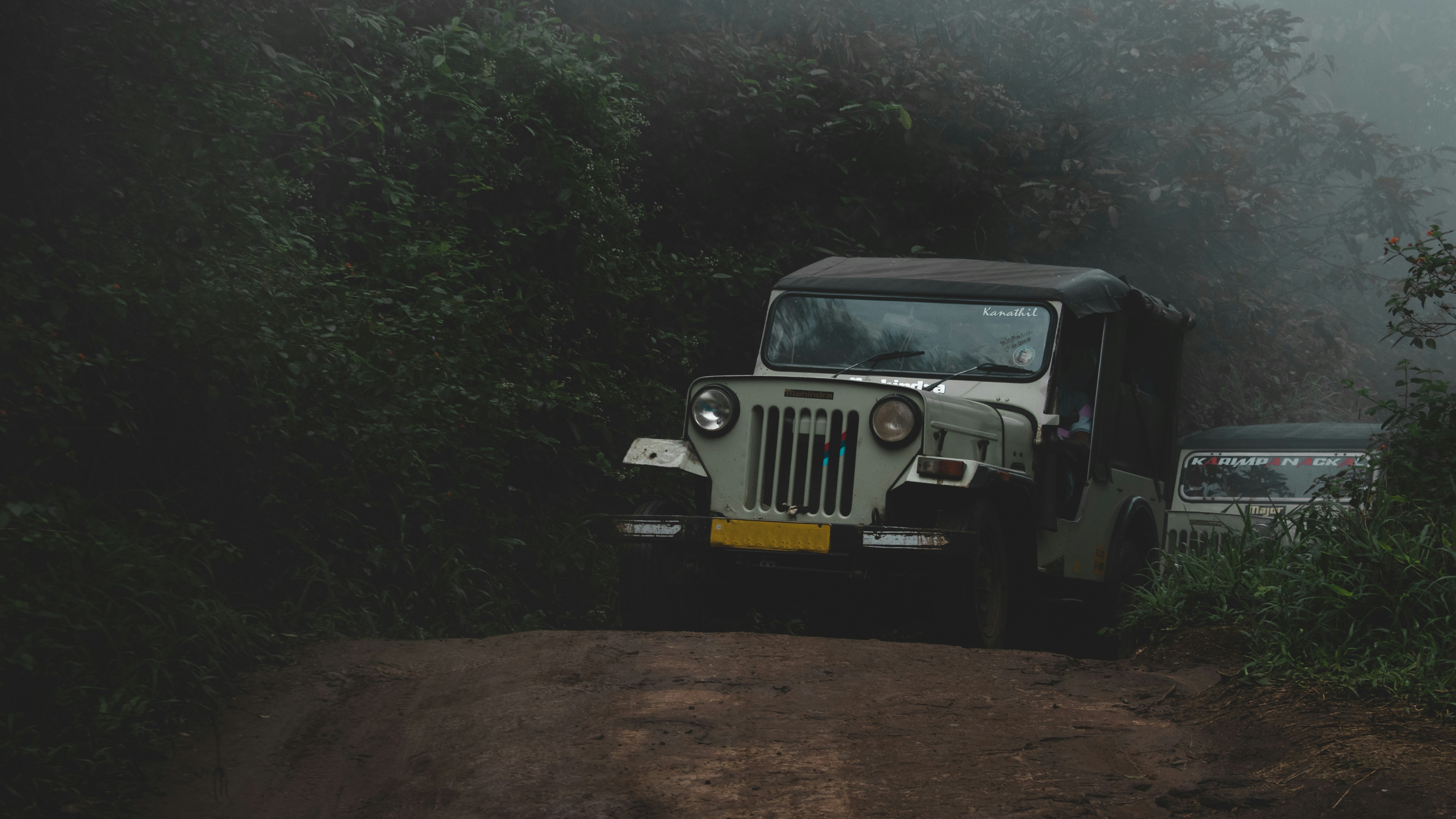 Eco Adventure